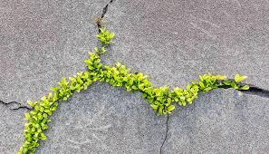 Die Bybel prakties: 9 November 17:30 in die Rots