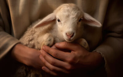 Sondag 8 Maart 2026 om 09:30