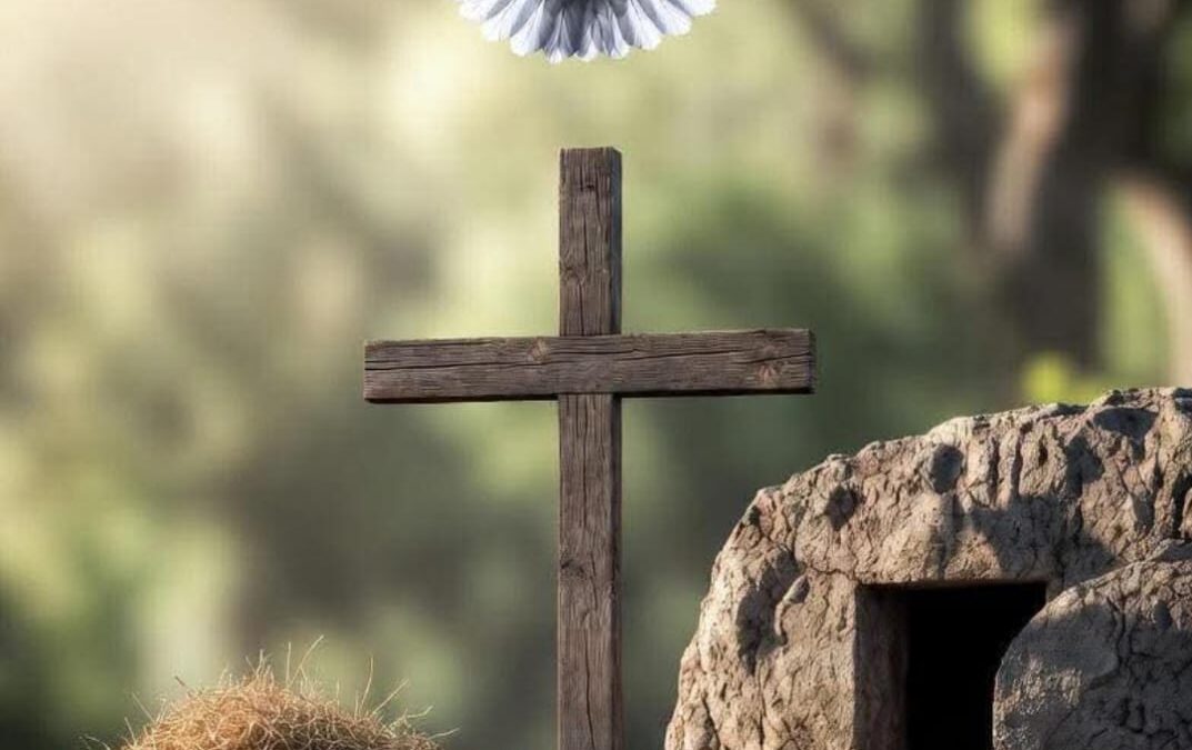 Bybel Prakties 17:30 in Rots