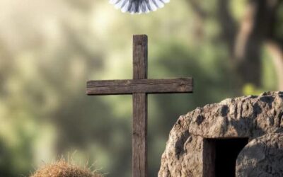 Bybel Prakties 17:30 in Rots (aanddiens)